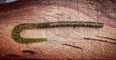 Blitzkrieg Fishing Bait by Fish or Die Bait Company