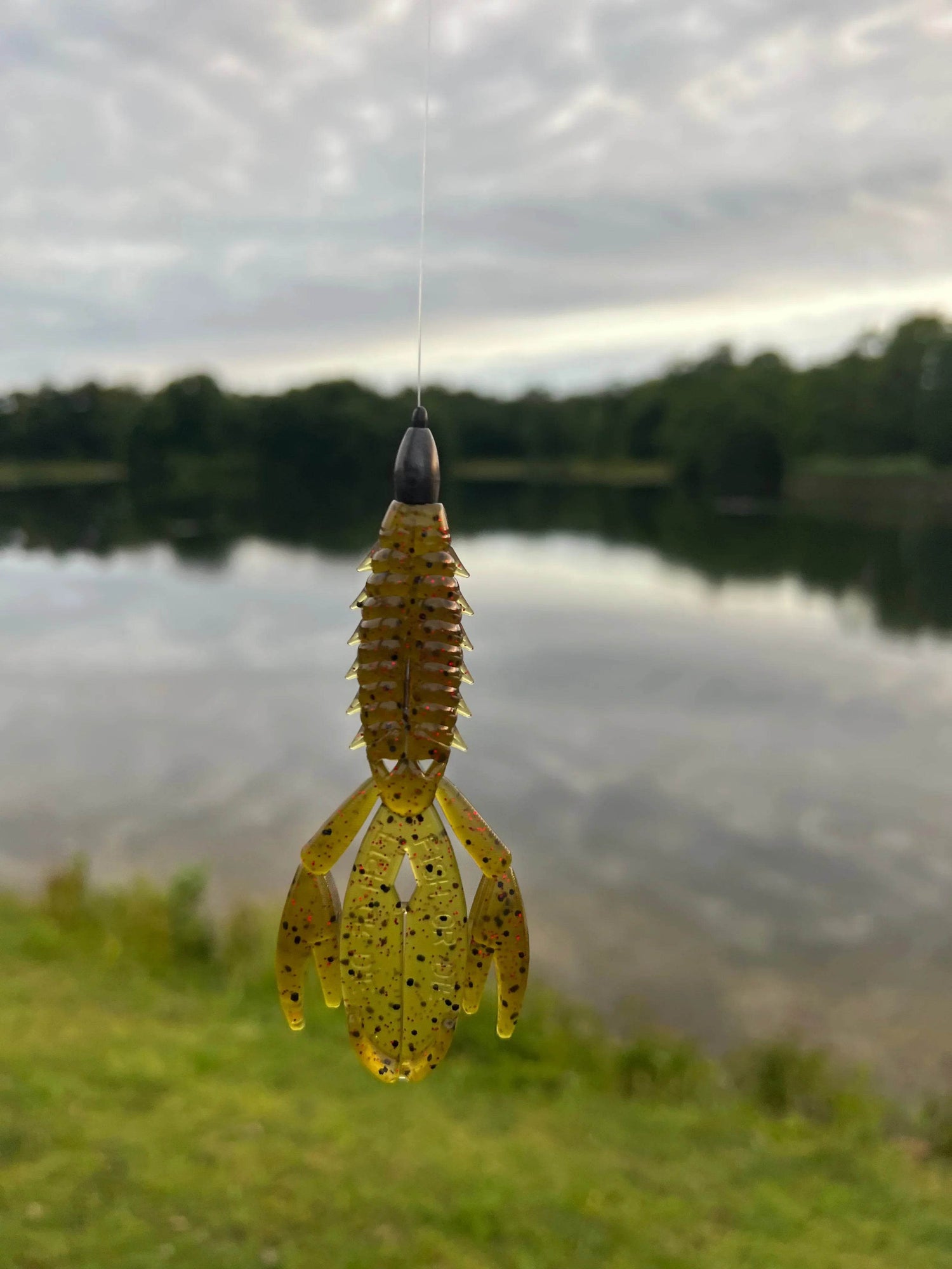 The Sherman by Fish or Die Bait Company