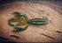 The Sherman by Fish or Die Bait Company