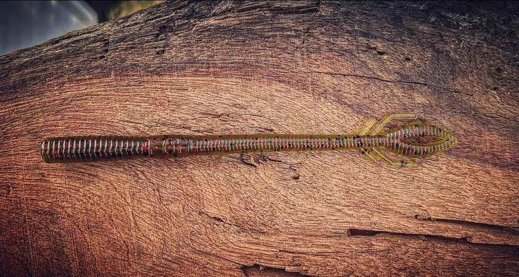 Musket by Fish or Die Bait Company