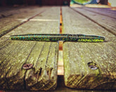 Ramrods by Fish or Die Bait Company