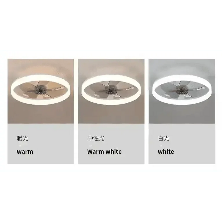 LED Ceiling Fan with Remote Control Chandelier by DSERS