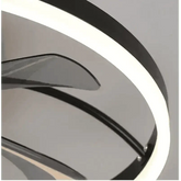 LED Ceiling Fan with Remote Control Chandelier by DSERS