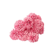 Pink and White Silk Kiku Flowers Bouquet Flower by Yajia Decorative Store