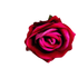 Red Roses in Vase Beautiful Silk Artificial Rose Flowers Roses by Kahaul Official Store