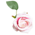 Red Roses in Vase Beautiful Silk Artificial Rose Flowers Roses by Kahaul Official Store