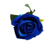 Red Roses in Vase Beautiful Silk Artificial Rose Flowers Roses by Kahaul Official Store