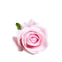 Red Roses in Vase Beautiful Silk Artificial Rose Flowers Roses by Kahaul Official Store