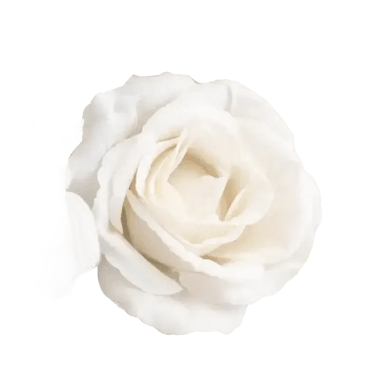 Red Roses in Vase Beautiful Silk Artificial Rose Flowers Roses by Kahaul Official Store