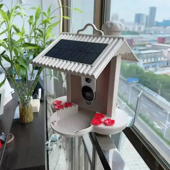 Solar Bird Feeder Camera bird watching Experience Bird Feeders by CJ