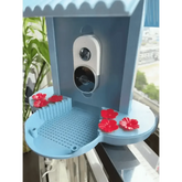 Solar Bird Feeder Camera bird watching Experience Bird Feeders by CJ