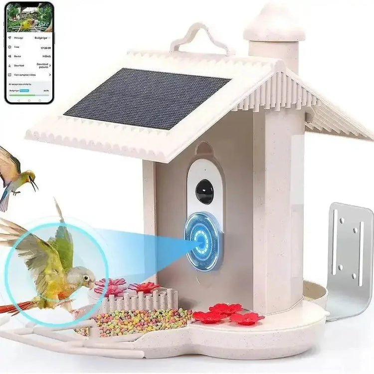 Solar Bird Feeder Camera bird watching Experience Bird Feeders by CJ