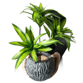 Variegated Dracaena Artificial Palm Tree in Textured Pot fake trees by Kmitang Official Store