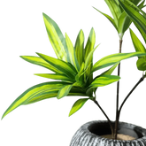 Variegated Dracaena Artificial Palm Tree in Textured Pot fake trees by Kmitang Official Store