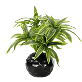 Variegated Dracaena Artificial Palm Tree in Textured Pot fake trees by Kmitang Official Store