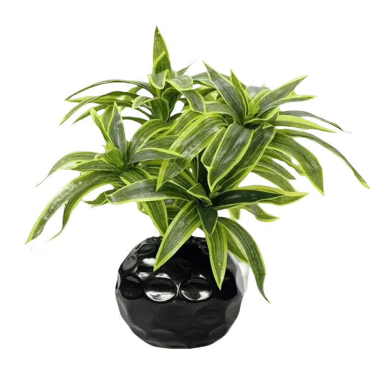 Variegated Dracaena Artificial Palm Tree in Textured Pot fake trees by Kmitang Official Store