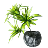 Variegated Dracaena Artificial Palm Tree in Textured Pot fake trees by Kmitang Official Store