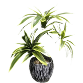 Variegated Dracaena Artificial Palm Tree in Textured Pot fake trees by Kmitang Official Store