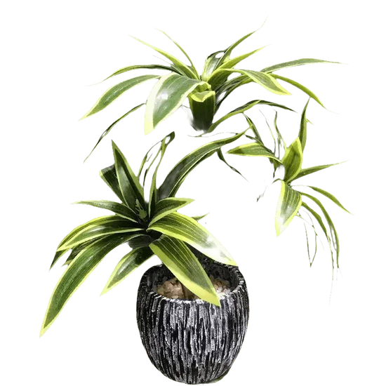 Variegated Dracaena Artificial Palm Tree in Textured Pot fake trees by Kmitang Official Store