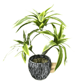 Variegated Dracaena Artificial Palm Tree in Textured Pot fake trees by Kmitang Official Store