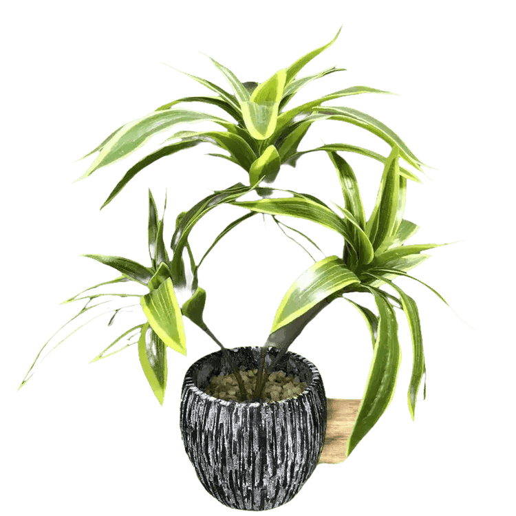 Variegated Dracaena Artificial Palm Tree in Textured Pot fake trees by Kmitang Official Store