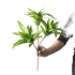 Variegated Dracaena Artificial Palm Tree in Textured Pot fake trees by Kmitang Official Store