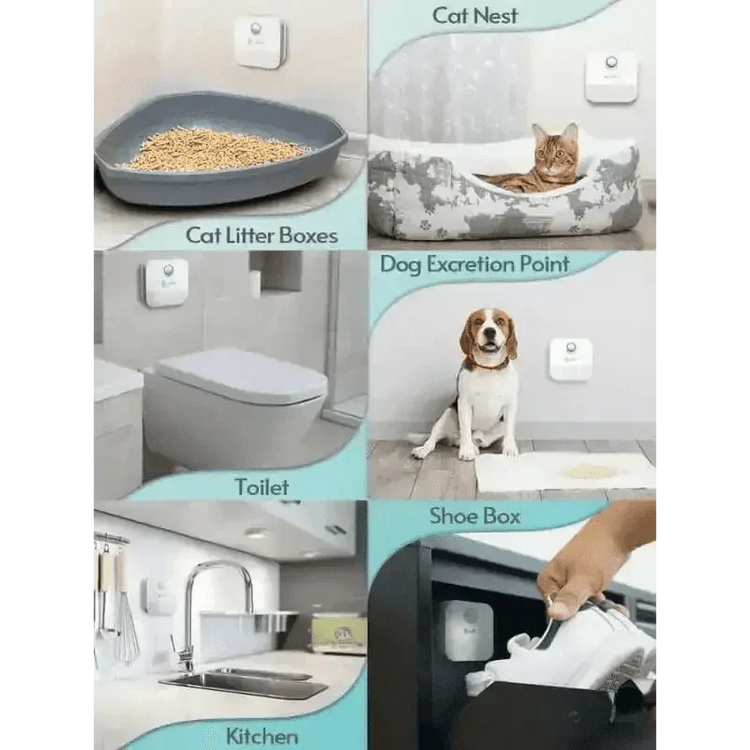 White Air Purifier with Blue Light Downypaws Litter Box Cat Air Deodoriser by DownyPaws Official Store