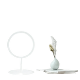White LED Daylight Makeup Mirror USB Battery face mirror by Rockbrook Daily Store