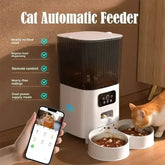 WiFi Single Bowl Cat Automatic Feeder pet feeder by DSERS